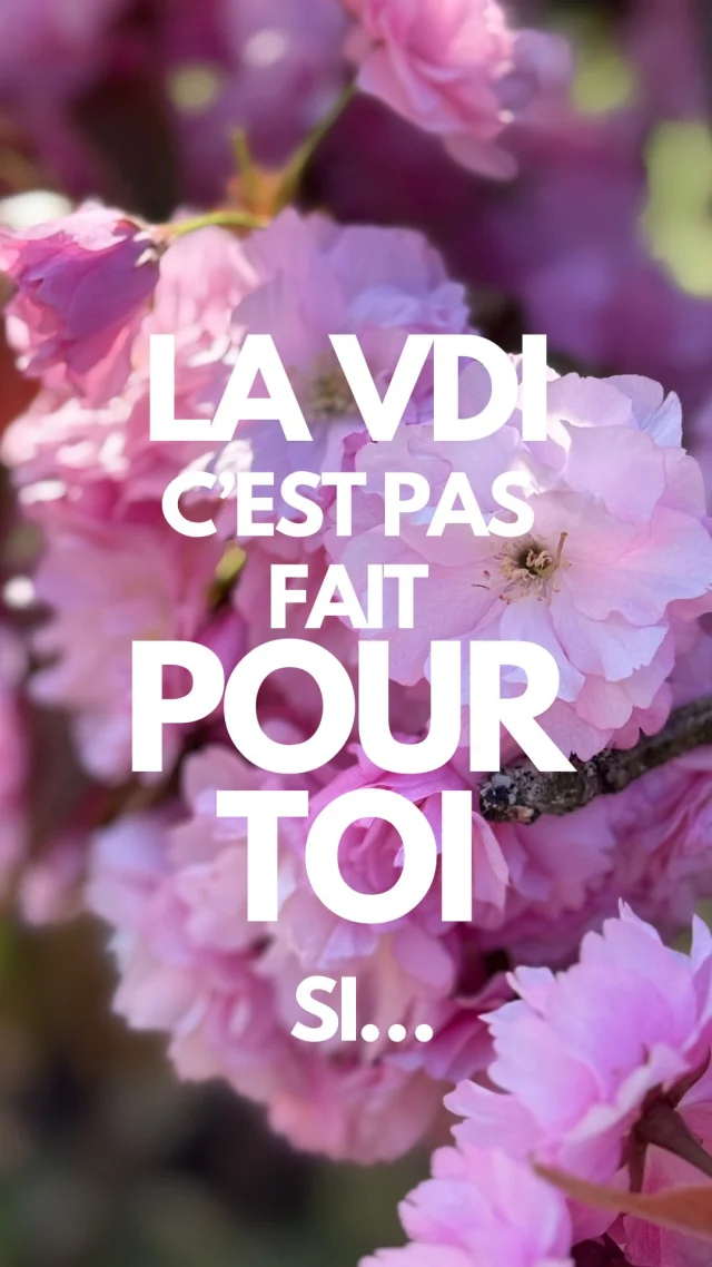 ✨ Si tu n’as pas envie de vivre un métier passion qui t’offre des rencontres extraordinaires, une famille professionnelle bienveillante et soudée, des moments inoubliables de rencontres et de partages, la reconnaissance financière et émotionnelle de tes efforts… ✨
Ces images capturent l’énergie, la fierté et la magie de notre campus annuel... un moment fort qui rassemble nos vendeurs indépendants venus de France, Belgique, Suisse et Allemagne 🌍

Tu cherches un complément de revenus, des avantages sur ta conso perso, ou simplement un job qui a du sens et du fun ?
Rejoins-nous et découvre une communauté bienveillante, des produits coup de cœur (+ de 3000 références 😍), et un concept qui s’adapte à ta vie.

📍 Vente à domicile, à ton rythme, à ton image.
🛍️ Bijoux, cosmétiques naturels, déco, thés, bougies... il y en a pour tous les goûts !

💫 Et si c’était ton tour de vivre ça ?

#AliaNature #RejoindreAlia #VDI #VenteADomicile #RevenuComplémentaire #CosmétiquesNaturels #TravailÀDomicile #AliaFamily
